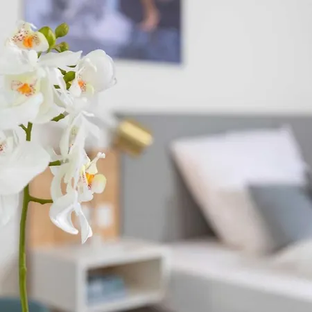 Nino-boardinghouse 8 - A46404 Appartamento Nordhorn